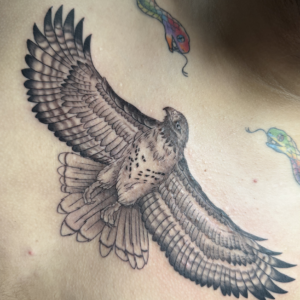 Large black-and-gray hawk tattoo with wings spread, spanning the shoulder blade/upper back.